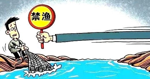 非法捕魚54斤獲刑還要放流魚苗